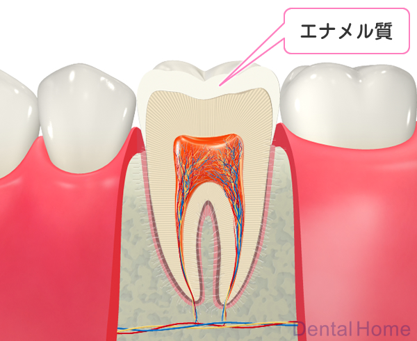 エナメル質